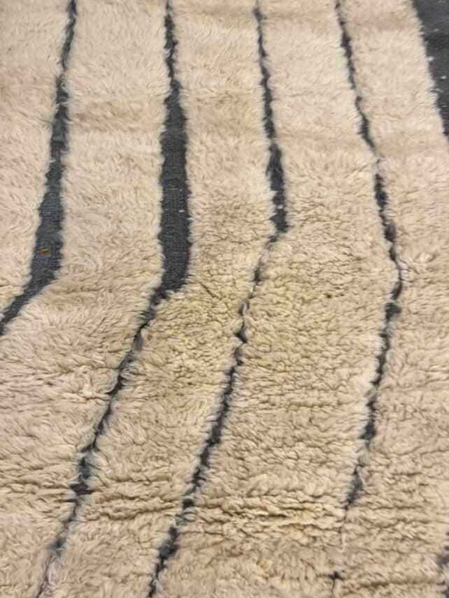 The Dassa Rug