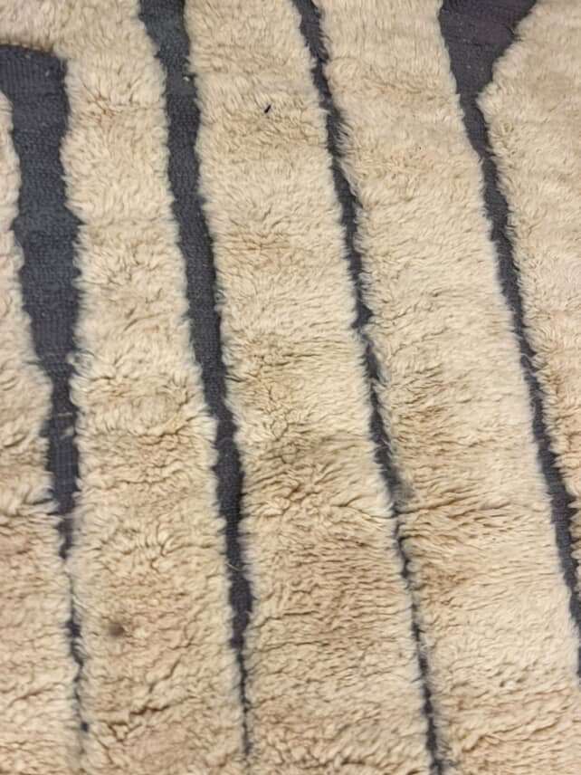 The Dassa Rug