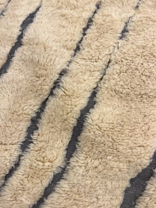 The Dassa Rug