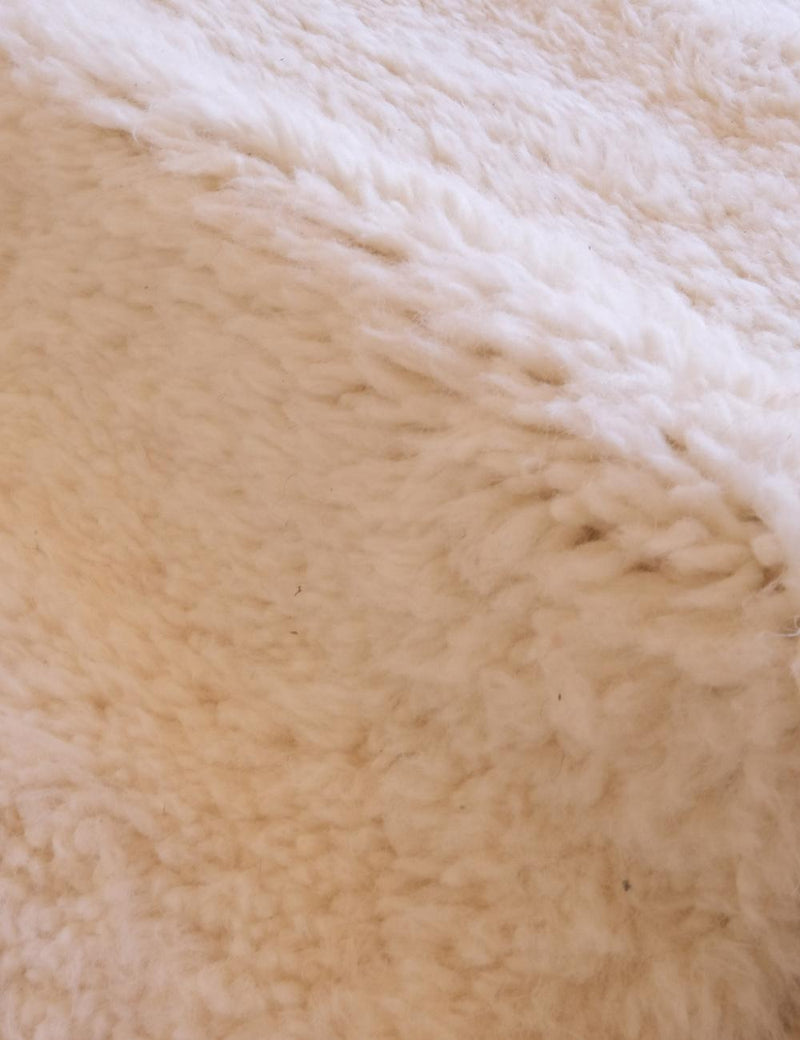 The Arrida Rug