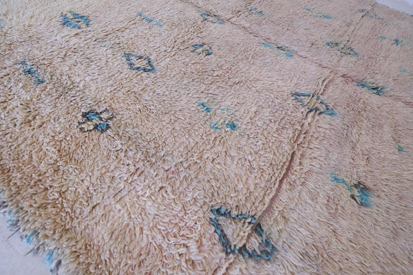 The Sallentet Rug