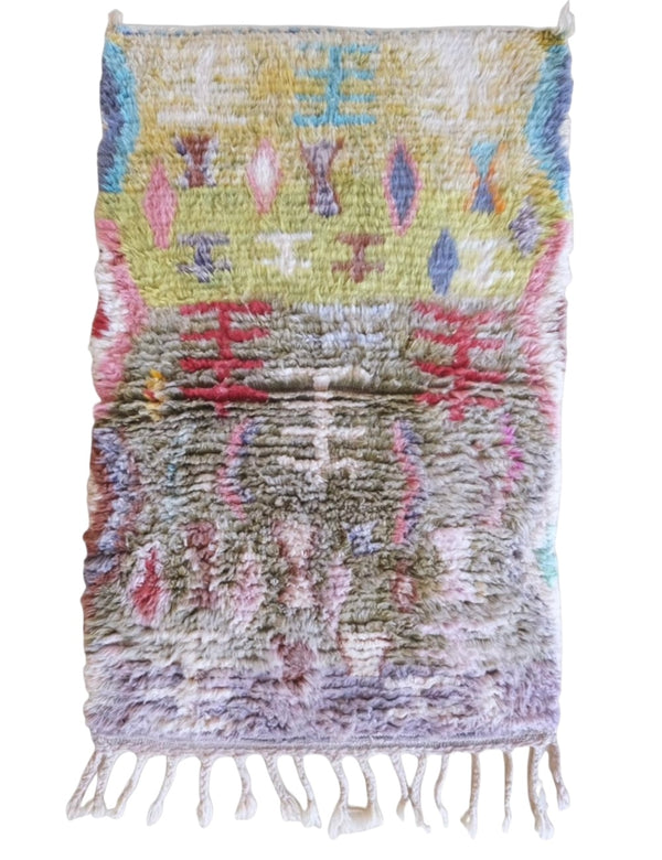 The Javid Rug