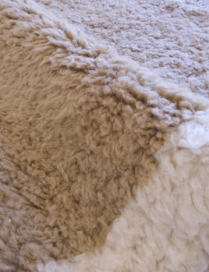 The Hamu Rug